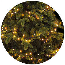 LUMINEO LED-Baumkette 1-2-Glow Compactlights fr Weihnachtsbume, LED warmwei