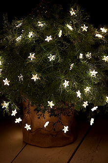 SIRIUS Sternen-Lichterkette Trille 40 warmwei�e LED-Sterne gr�nes Metallkabel, Batteriebetrieb mit Timer