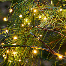 SIRIUS Tropfen-Mehrstrang-Lichterkette Knirke 350 warmweie LED-Tropfen grnes Metallkabel