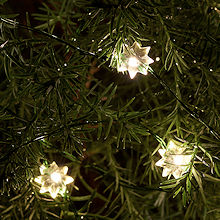 SIRIUS Sternbl�ten-Lichterkette Silke 40 warmwei�e LED-Sternbl�ten gr�nes Metallkabel, Batteriebetrieb mit Timer