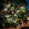ESOTEC Solar-Lichterkette Peking 10 Asia-Laternen warmwei