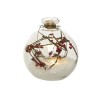 DECORIS LED-Glaskugel Natur 3, Zweige & Rote Beeren im Schnee, 10 cm, 2 warmweie LED, Batteriebetrieb