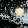 LUMINEO Solar-Lampion Big LED China-Laterne 28 cm Warmweiss