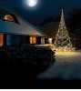 FAIRYBELL LED-Tannenbaum 400 cm, 640 warmweie LED 