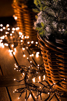 LUMINEO LED-Lichterkette DuraWise Twinklelight, Ricelight-LED klassisch-warmwei�, Batteriebetrieb, Timer, schwarzes Kabel