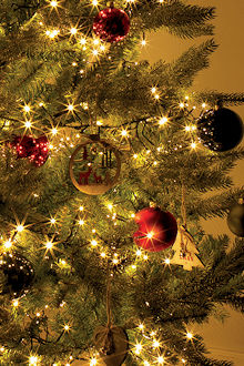 LUMINEO LED-B�schellichterkette Clusterlights LED warmwei�