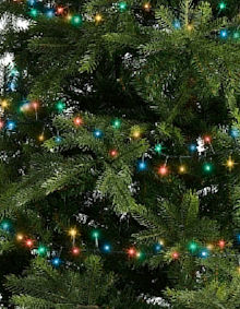 LUMINEO LED-Lichterkette Compactlights Twinkle Classic-Multicolor, Ricelight-LED bunt, 8 Lichteffekte, Timer