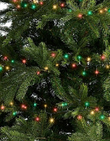 LUMINEO LED-Lichterkette Compactlights Twinkle Holy-Lights, Ricelight-LED rot / gr�n / klassisch-warmwei�, 8 Lichteffekte, Timer