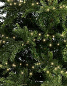 LUMINEO LED-Lichterkette Compactlights Twinkle Switch-Color, Ricelight-LED warmwei / bunt, 8 Lichteffekte, Timer