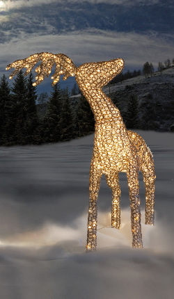 FDL 3D-LED-Acryl-Schmuckfigur Stehendes Rentier warmweie LED Glitzereffekt Twinkle