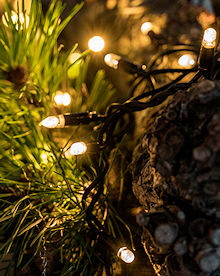 SIRIUS Tech-Line-System LED-Lichterkette LED warmwei�