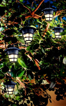 ESOTEC Solar-Lichterkette Peking 10 Asia-Laternen warmweiß ESOTEC Solar-Lichterkette Peking 10 Asia-Laternen warmweiß